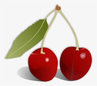 Cherry Png Free Download - Cherry Fruit, Transparent Png, Free Download