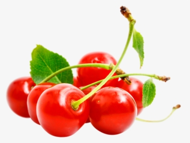 Now You Can Download Cherry Png In High Resolution - Вишні Png, Transparent Png, Free Download