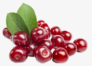 Cherry Png, Transparent Png, Free Download