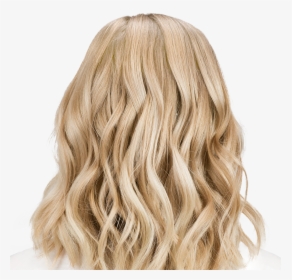 Natural Blonde Hair Png Download Blonde Hair From The Back Transparent Png Kindpng - blonde robux blonde roblox free hair