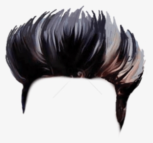 200 Hair Zip File Download - Boy Hair Style Png, Transparent Png - kindpng