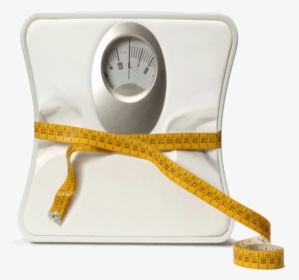 Weigh In Biggest Loser, HD Png Download, Free Download