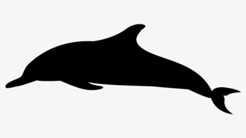 Whale Png, Transparent Whale Clipart - Animadas Delfines En Png, Png Download, Free Download