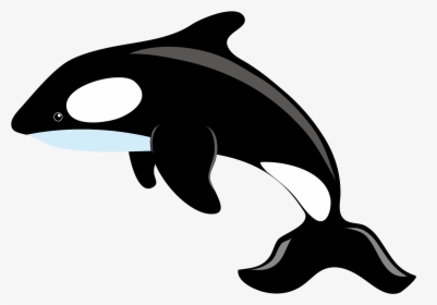 Killer Whale Blue Whale Clip Art - Killer Whale Clipart Png, Transparent Png, Free Download