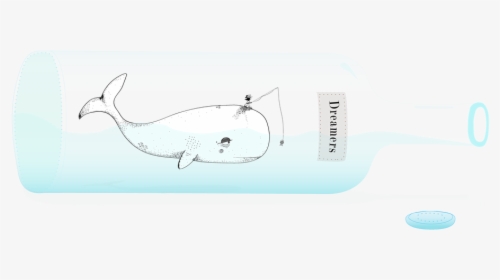 Transparent Killer Whale Png - Whale, Png Download, Free Download