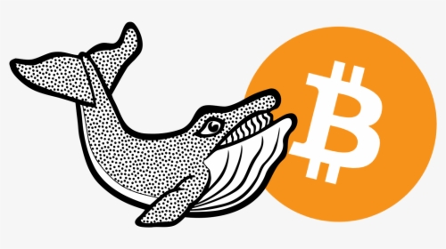 Whale - Bitcoin, HD Png Download, Free Download