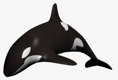 Whale Png Free Image Download - Killer Whale White Background, Transparent Png, Free Download