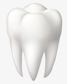 Tooth Molar Png Clip Art - Molar Clipart, Transparent Png, Free Download