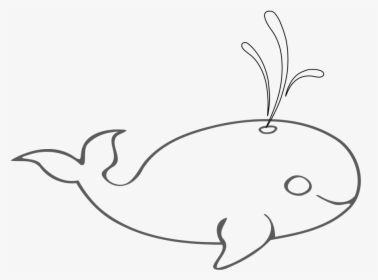 Blue Whale Outline Rooweb Clipart Png - Outline Picture Of Blue Whale, Transparent Png, Free Download