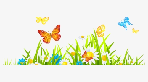 Transparent Garden Png - Flower And Butterfly Png, Png Download, Free Download