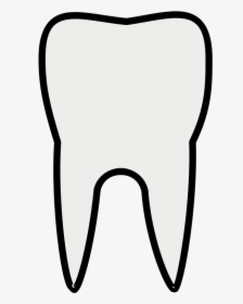 Tooth Cavities In Teeth Images 2 Clipart - Molar Tooth Clip Art, HD Png Download, Free Download