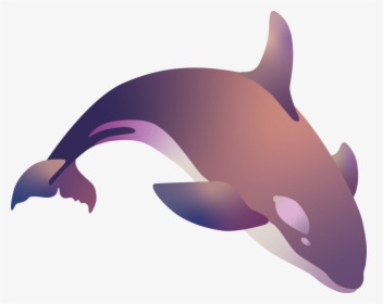 Killer Whale, HD Png Download, Free Download