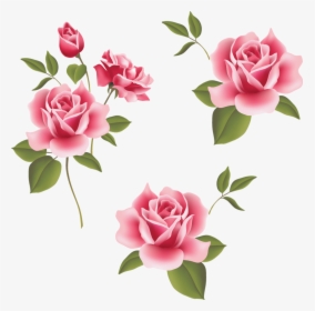 Garden Roses Beach Rose Pink Flower - Clip Art Borders Flowers Rose, HD Png Download, Free Download