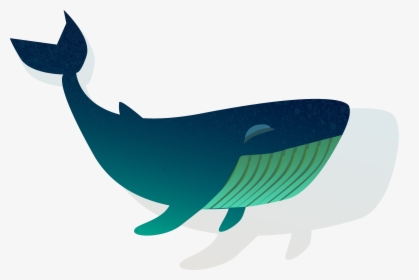 Blue Whale Clipart Shark - Whales, HD Png Download, Free Download