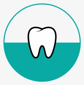 Root Canal, HD Png Download, Free Download