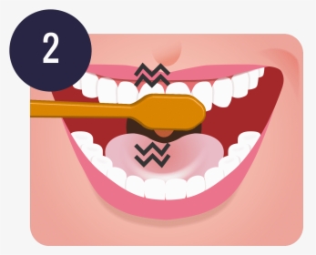 Tips On How To Properly Brush Your Teeth - Brush Teeth Png, Transparent Png, Free Download
