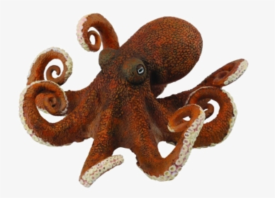 Octopus Toy Png Photos - Animales Acuaticos Pulpo, Transparent Png, Free Download
