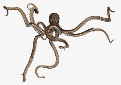 Giant Octopus Png , Png Download - Octopus Png, Transparent Png, Free Download