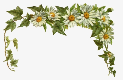 Jinifur Daisy Layer By Jinifur On Clipart Library - Transparent Background Vintage Daisy Png, Png Download, Free Download