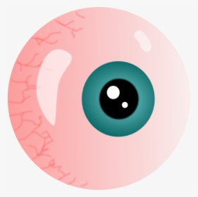 Eyeball - Circle, HD Png Download, Free Download