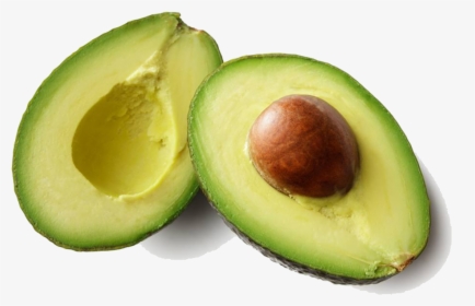 Avocado Png, Transparent Png, Free Download