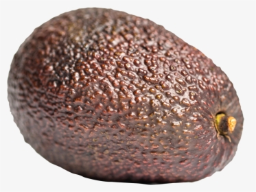 Whole Avocado Png Transparent, Png Download, Free Download