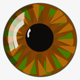 Eyeball Eye Vision Human Look See View Closeup - Clip Art Hazel Eyes, HD Png Download, Free Download