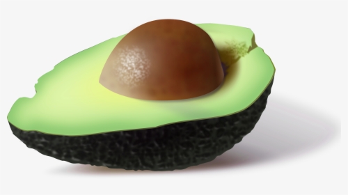 Avocado Png Image - 5 Fun Facts About Avocados, Transparent Png, Free Download