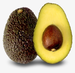 Transparent Aguacate Png - Hass Avocados Png, Png Download, Free Download
