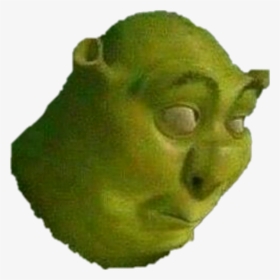 Transparent Spongegar Png - Shrek Memes, Png Download, Free Download