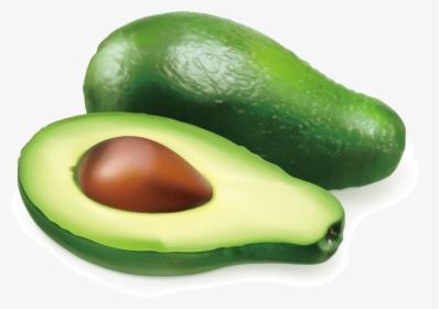 Avocado Auglis Illustration - Vegetables Single Images Png, Transparent Png, Free Download
