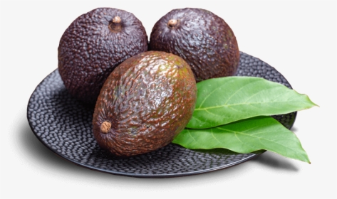 Ripe Avocados On A Plate - Avocado, HD Png Download, Free Download