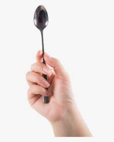 Graphic Download Fork Transparent Hand Holding - Hand Holding Spoon Png, Png Download, Free Download