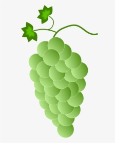 Greenwhite Grapes Clip Arts - Purple Grapes, HD Png Download, Free Download