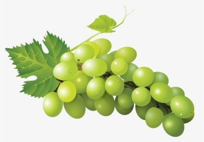 Sultana Grape Zante Currant Seedless Fruit Sauvignon - Green Grape Png, Transparent Png, Free Download