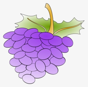 Grapes Svg Clip Arts - Cartoon Grapes, HD Png Download, Free Download