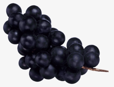 Black-grapes - Черный Виноград Png, Transparent Png, Free Download