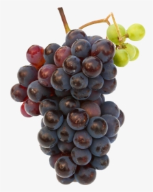 Black Grapes Png Free Commercial Use Image - Black Grapes Images Hd, Transparent Png, Free Download