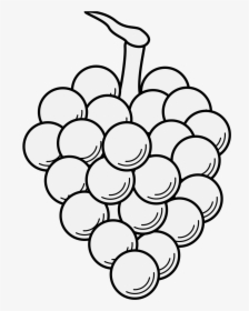Grapes Line Drawing Black And White, HD Png Download, Free Download