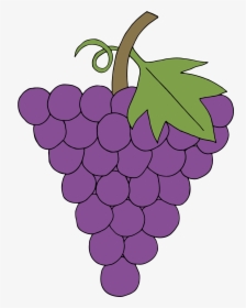 Transparent Grape Clipart - Grape, HD Png Download, Free Download