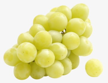 One Grape Transparent, HD Png Download, Free Download