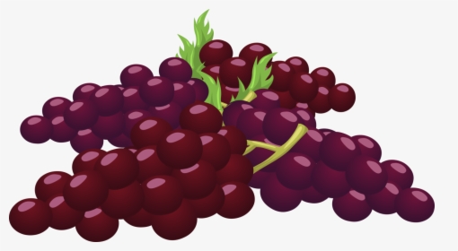 Seedless Fruit,grape Seed Extract,grape - Cluster Of Grapes Clipart, HD Png Download, Free Download