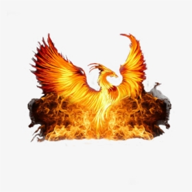 Phoenix Rising From The Fire, HD Png Download, Free Download