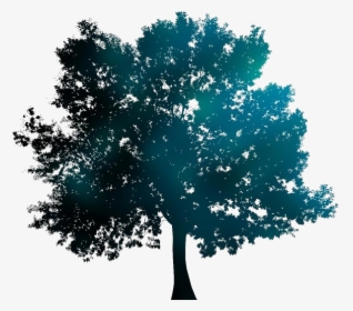 Oak Tree Png Free Download - Transparent Background Tree Silhouette Png, Png Download, Free Download