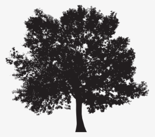 Silhouette Tree Clip Art, HD Png Download, Free Download