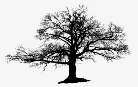 The Lonely Tree Oak Silhouette - Black And White Lonely Tree, HD Png Download, Free Download