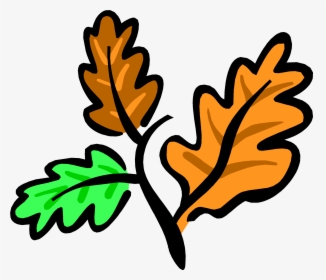 Download Oak Tree Leaves Clip Art Clipart Leaf Clip - Oak Tree Leaves Clipart, HD Png Download, Free Download