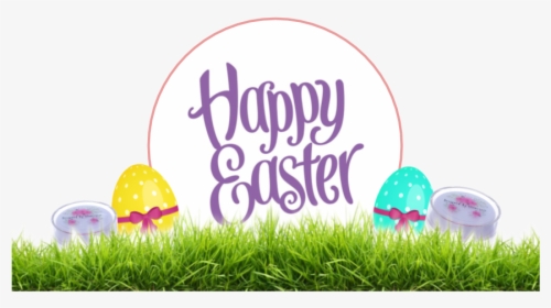 Happy Easter From The Missu Team - Holi, HD Png Download, Free Download