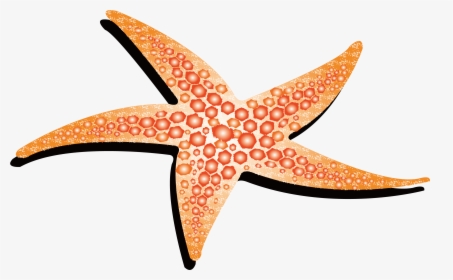 Transparent Starfish Border Clipart - Starfish Png Drawing, Png Download, Free Download