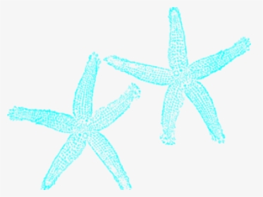 Turquoise Clipart Starfish - Teal Starfish, HD Png Download, Free Download